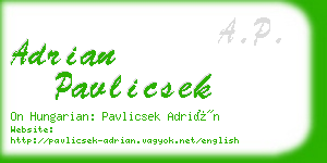 adrian pavlicsek business card